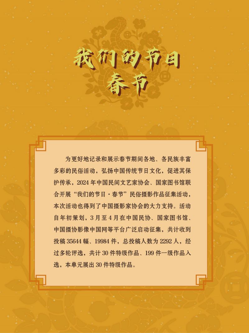 春节展-巡展 (37)