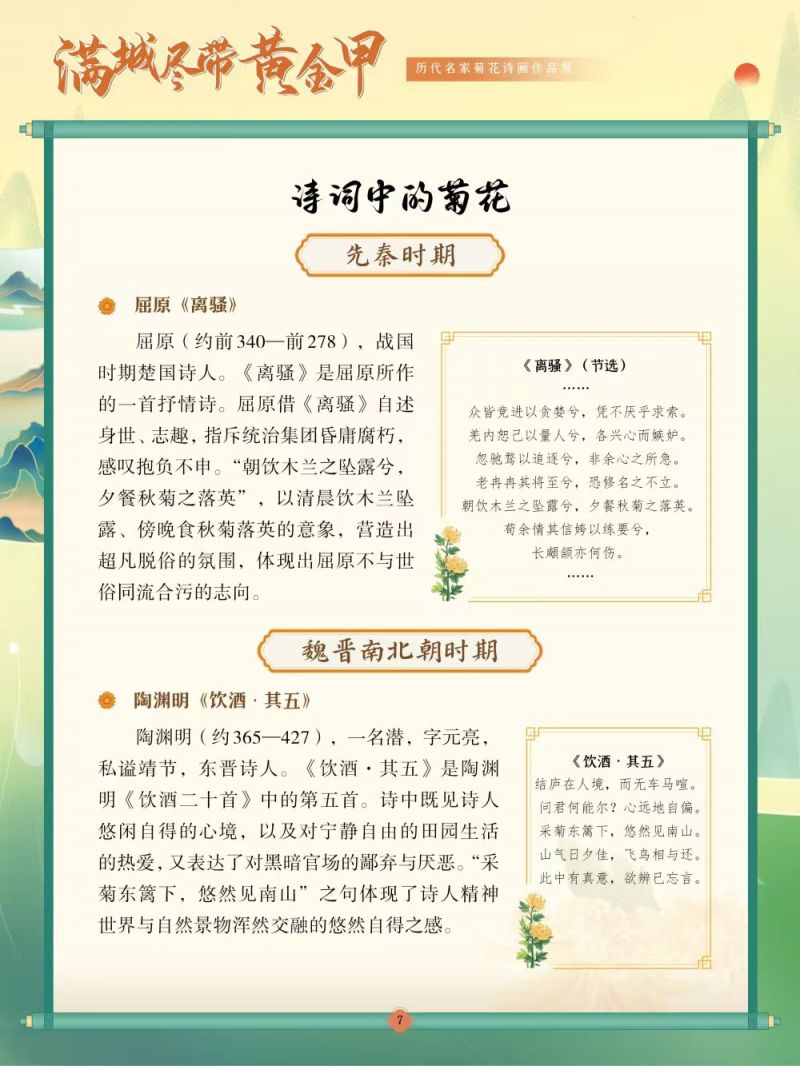 07诗词中的菊花-先秦时期、魏晋南北朝时期 07诗词中的菊花-先秦时期、魏晋南北朝时期